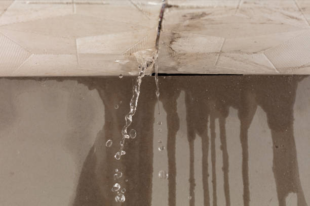 Professional Water Damage Inspection technician working in Seminole, FL